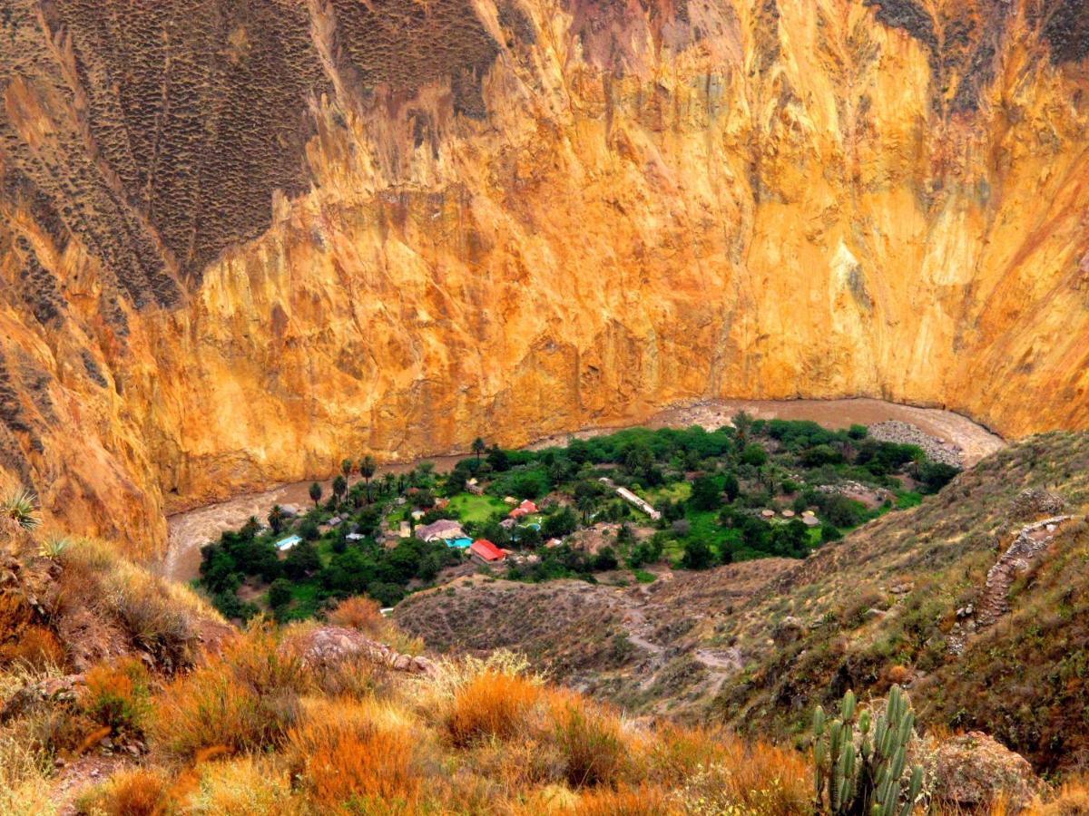 Paraiso Las Palmeras Lodge كاباناكوند المظهر الخارجي الصورة