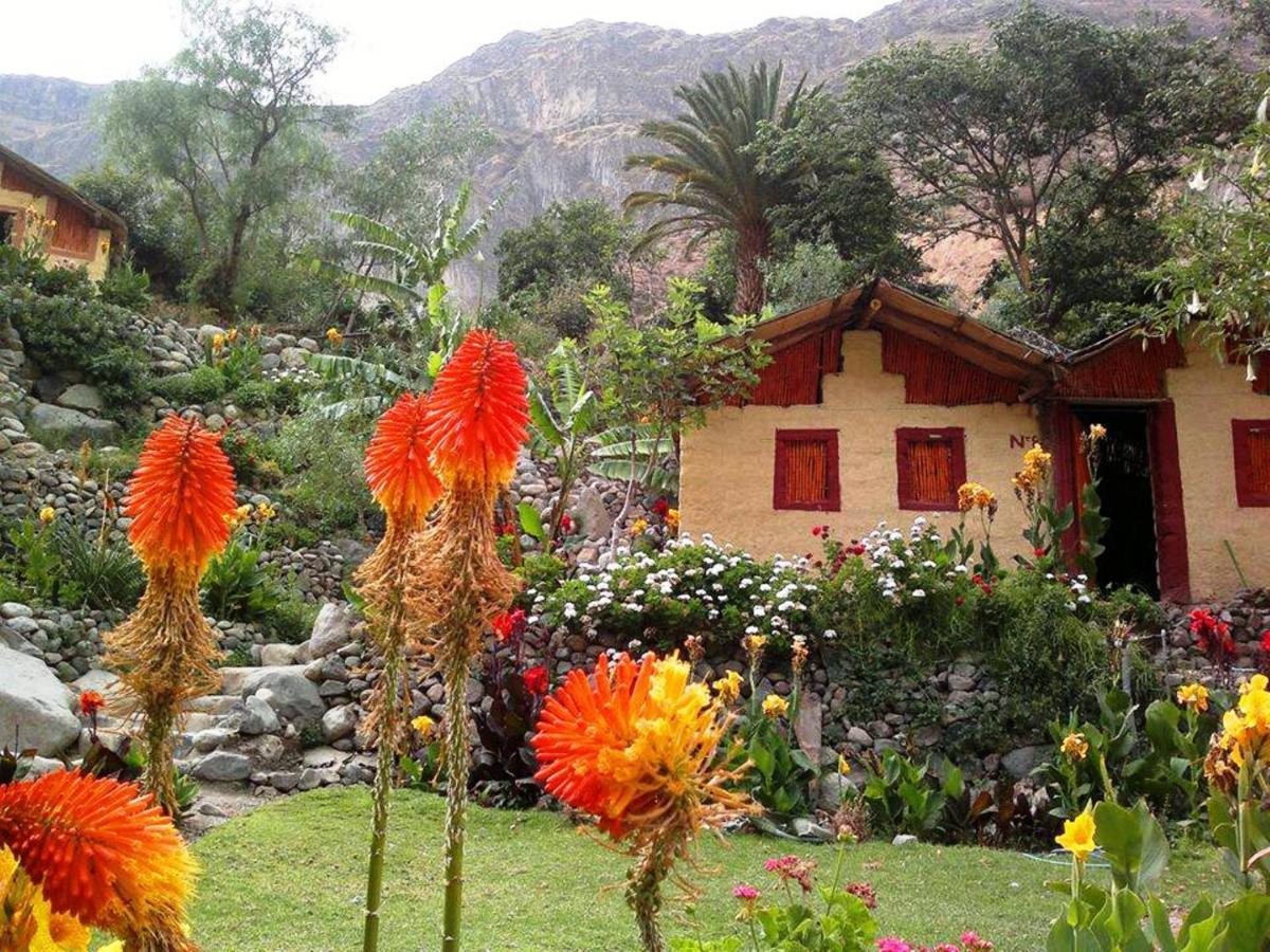 Paraiso Las Palmeras Lodge كاباناكوند المظهر الخارجي الصورة