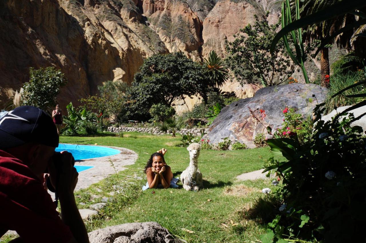 Paraiso Las Palmeras Lodge كاباناكوند المظهر الخارجي الصورة