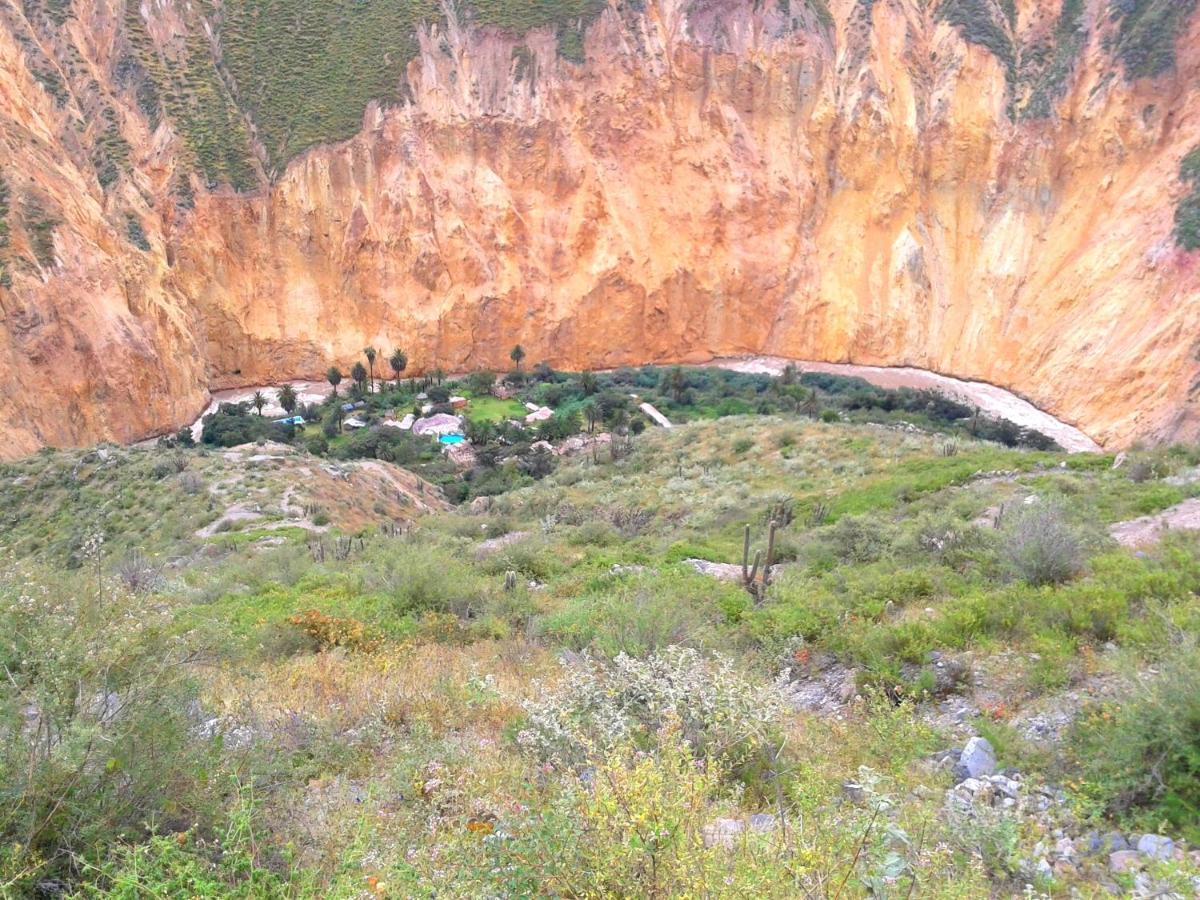 Paraiso Las Palmeras Lodge كاباناكوند المظهر الخارجي الصورة