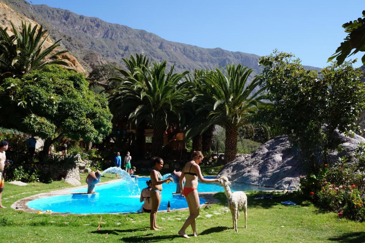 Paraiso Las Palmeras Lodge كاباناكوند المظهر الخارجي الصورة